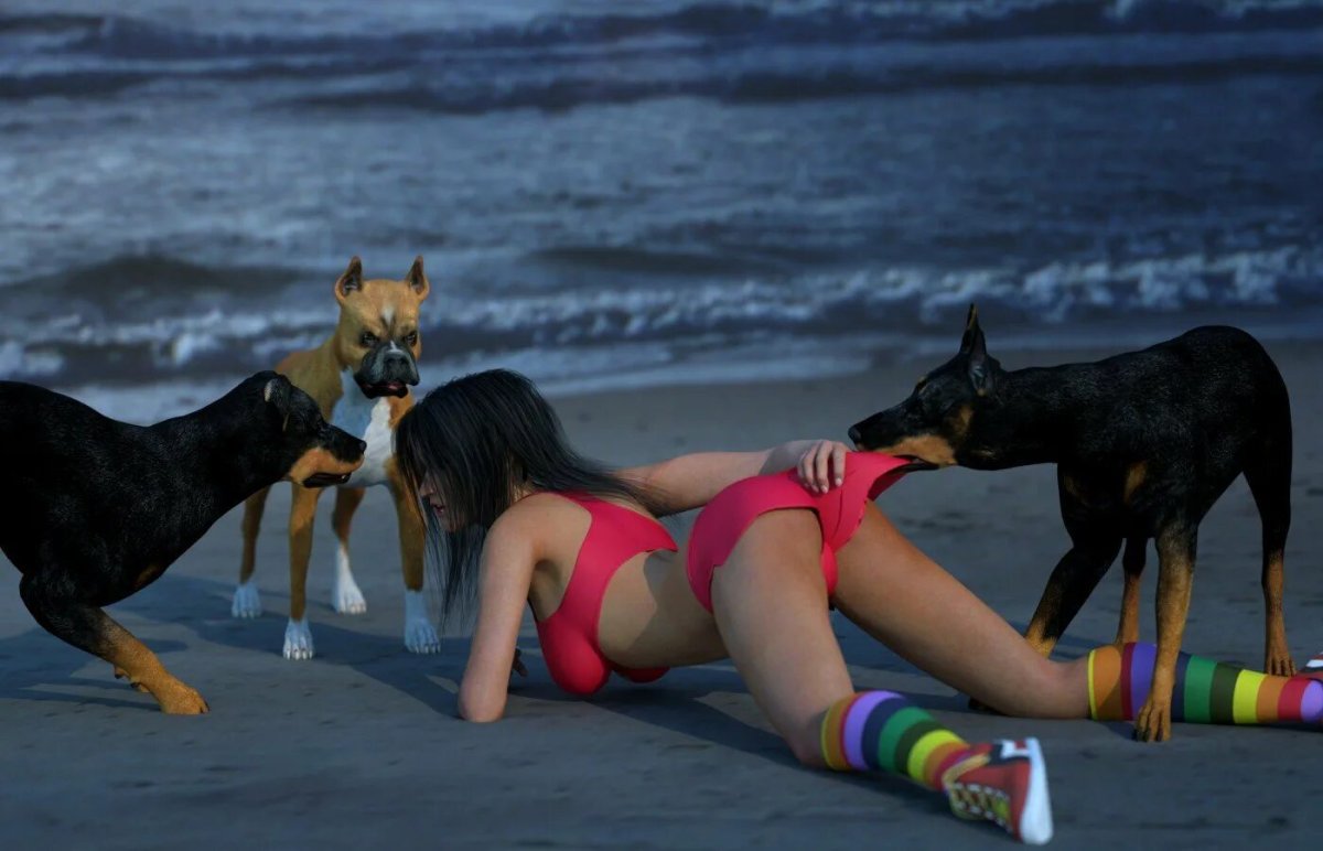 Австралийский келпи