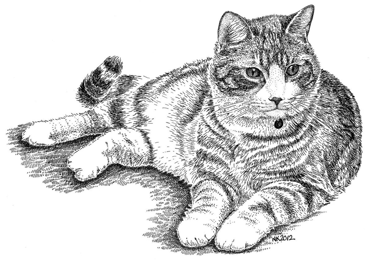 Коты Geoffrey Tristram