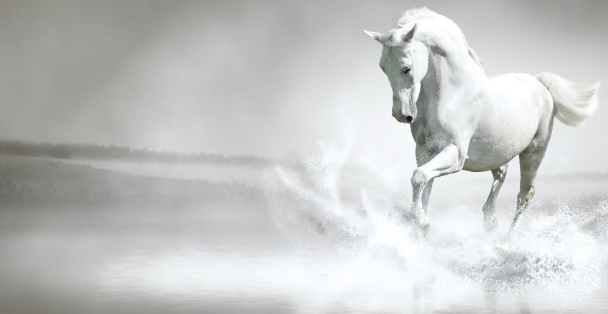 Кони бежали по кругу