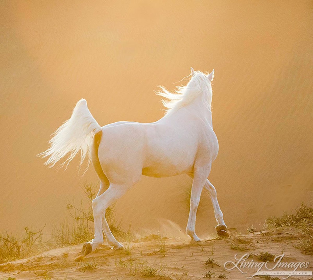 Скульптуры из металлолома