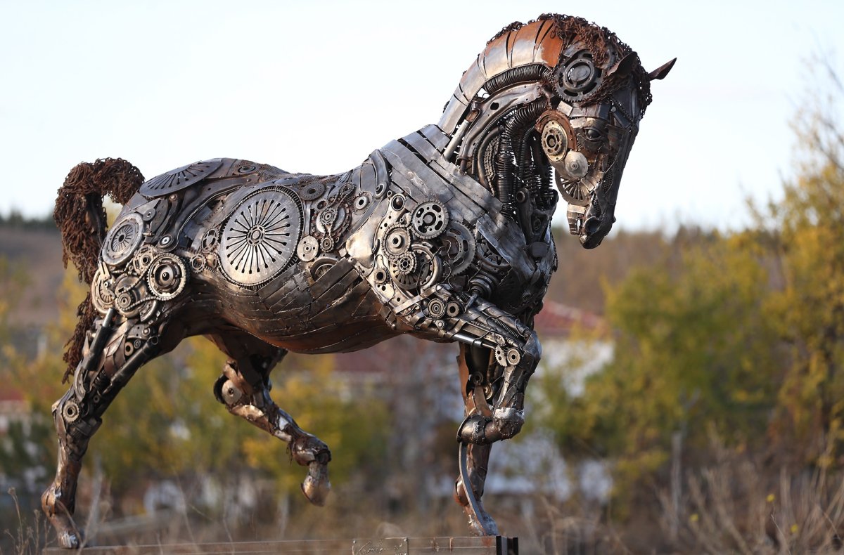 Лошадь черно белая