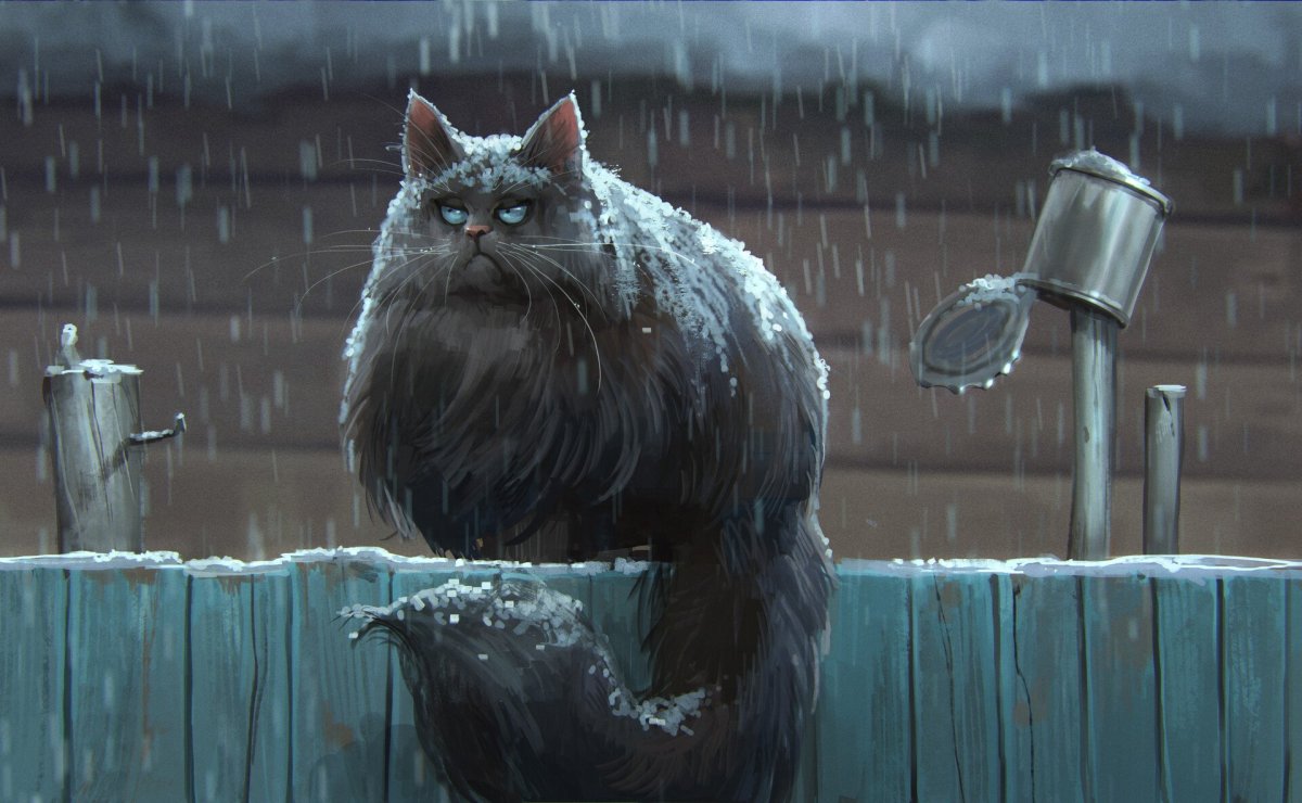 Кот под дождем