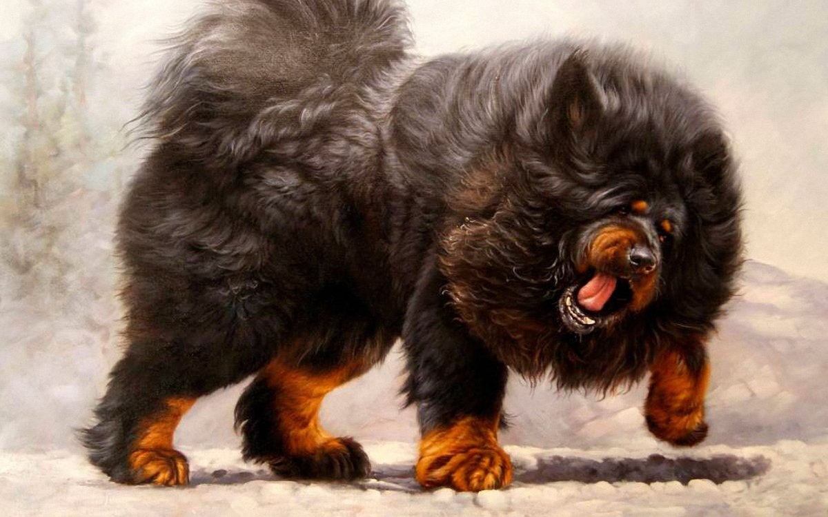 Тибетский мастиф