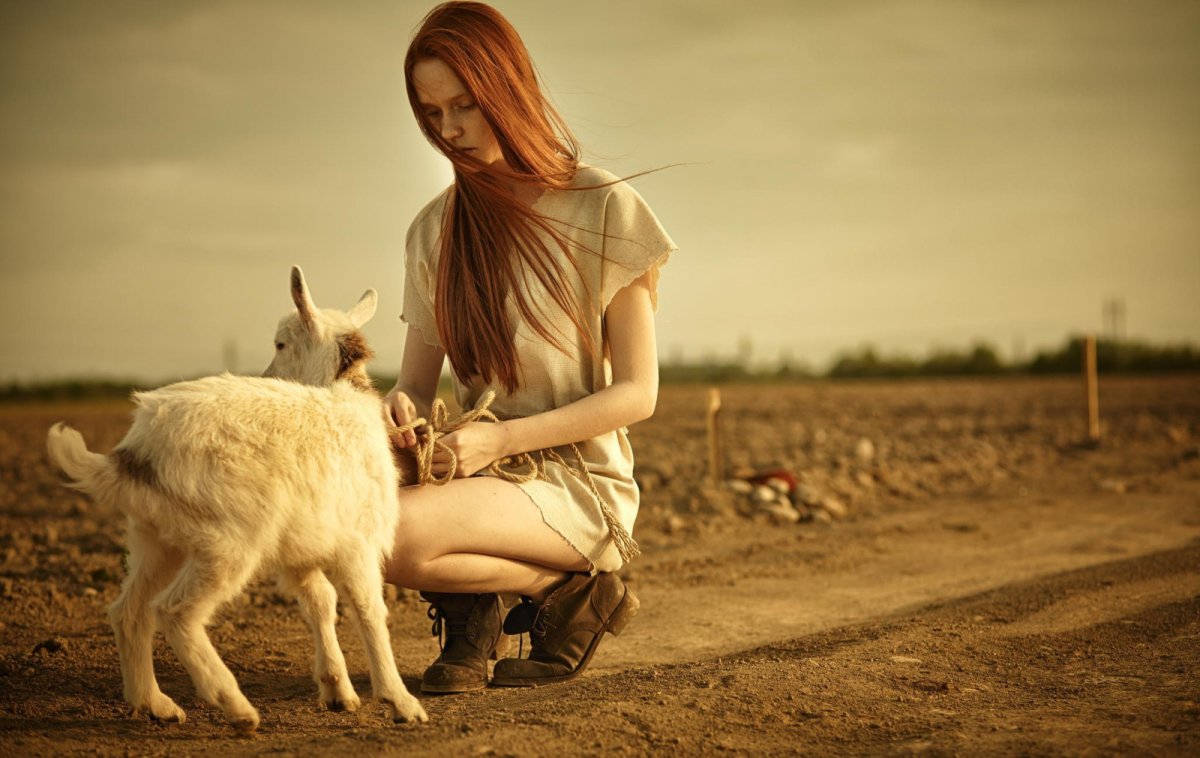 Козел самец