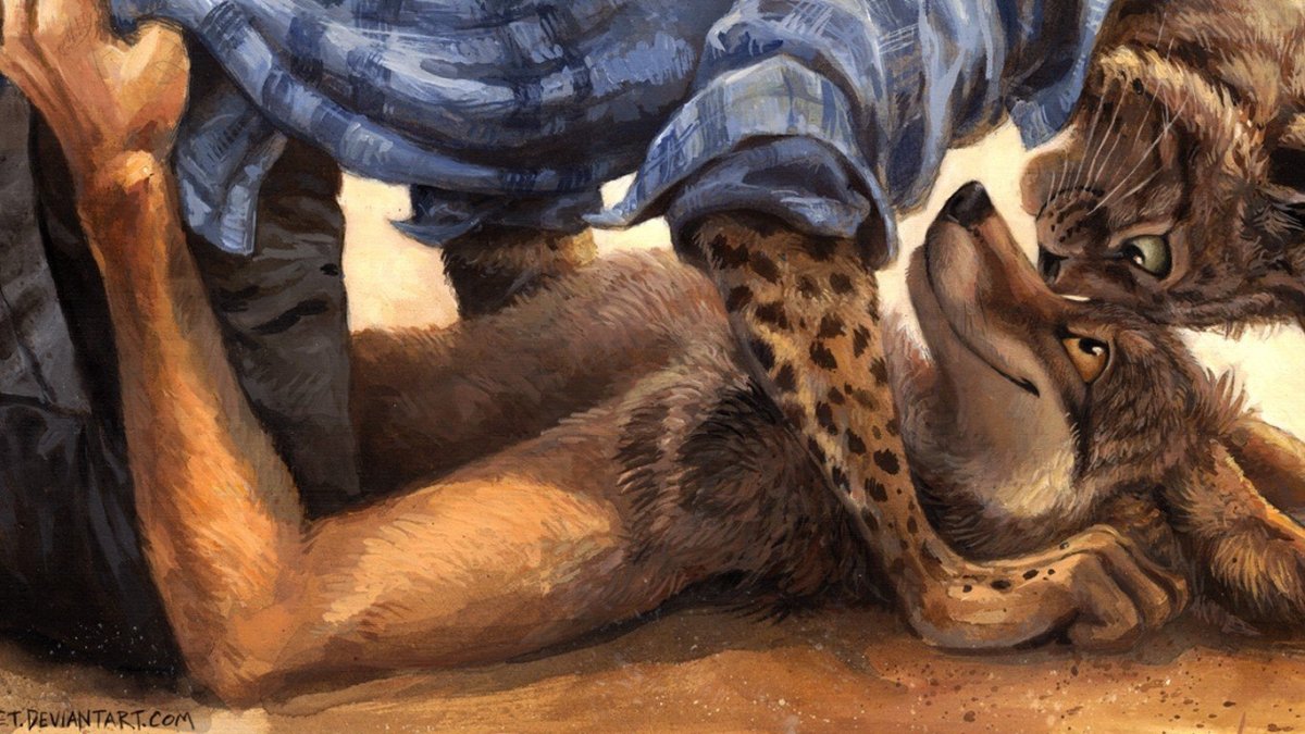 Парень с кошкой