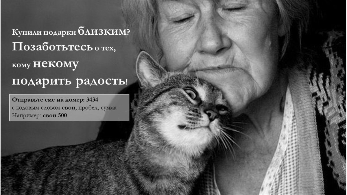 Кошка на голове у человека