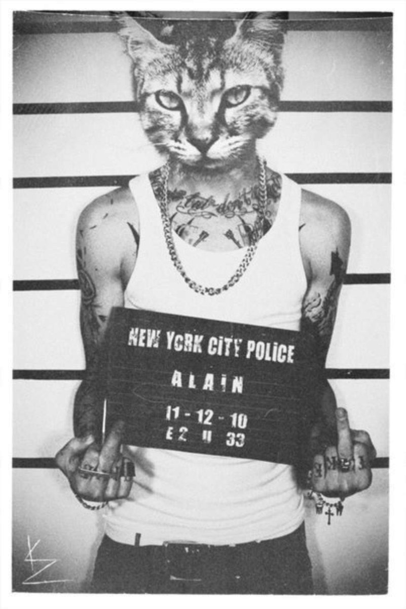 Человек с головой кота