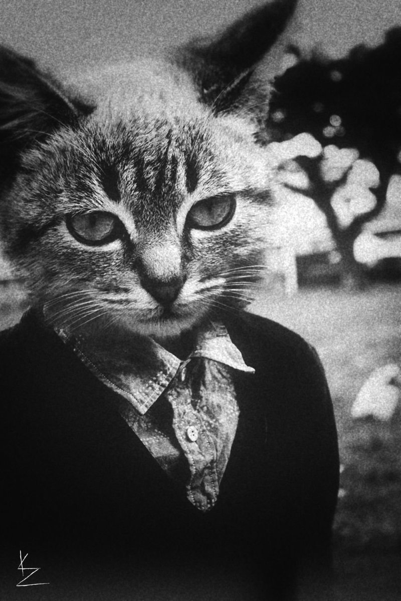 Человек с головой кота