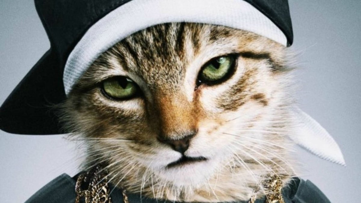 Бабушка с котенком