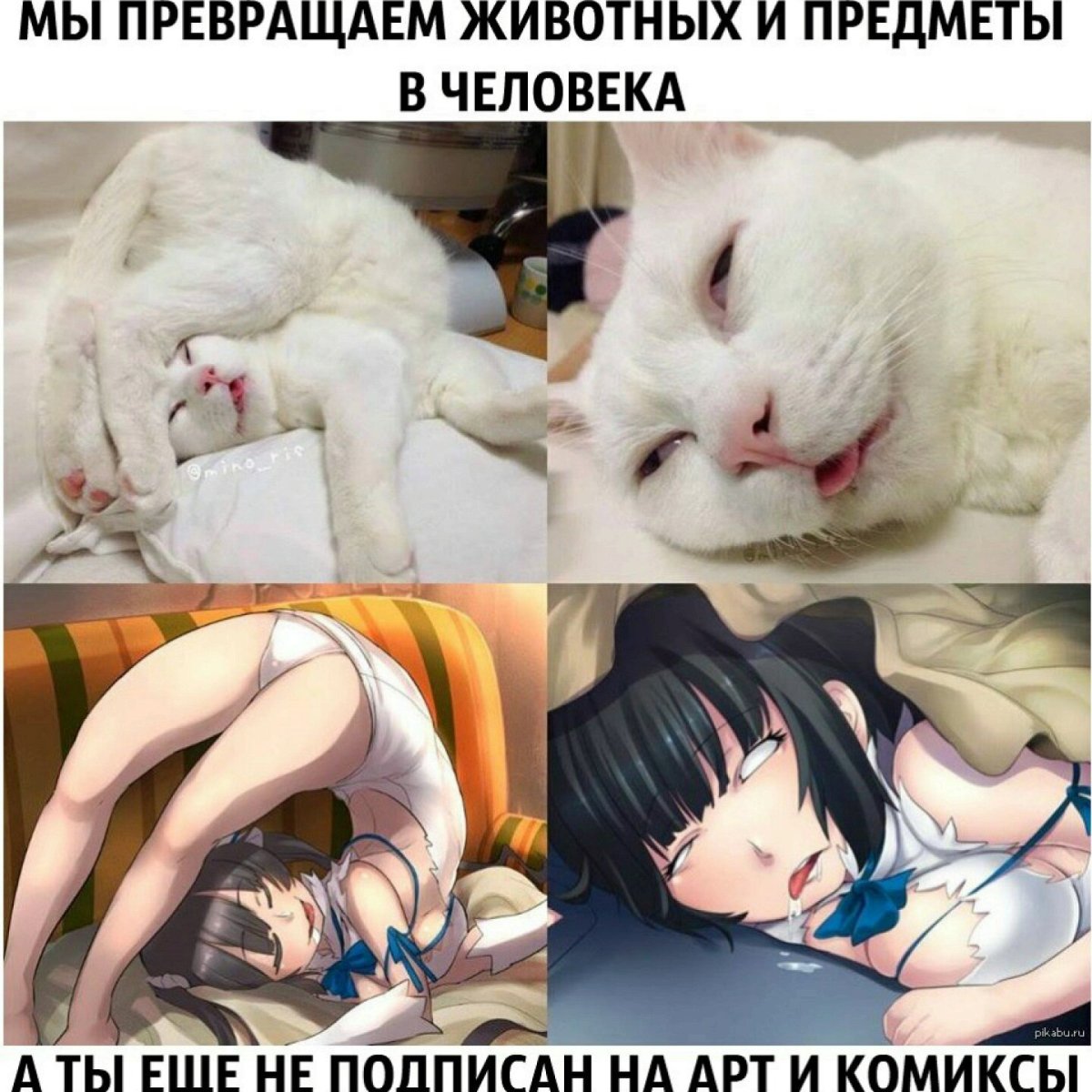 Жестокое отношение к животным