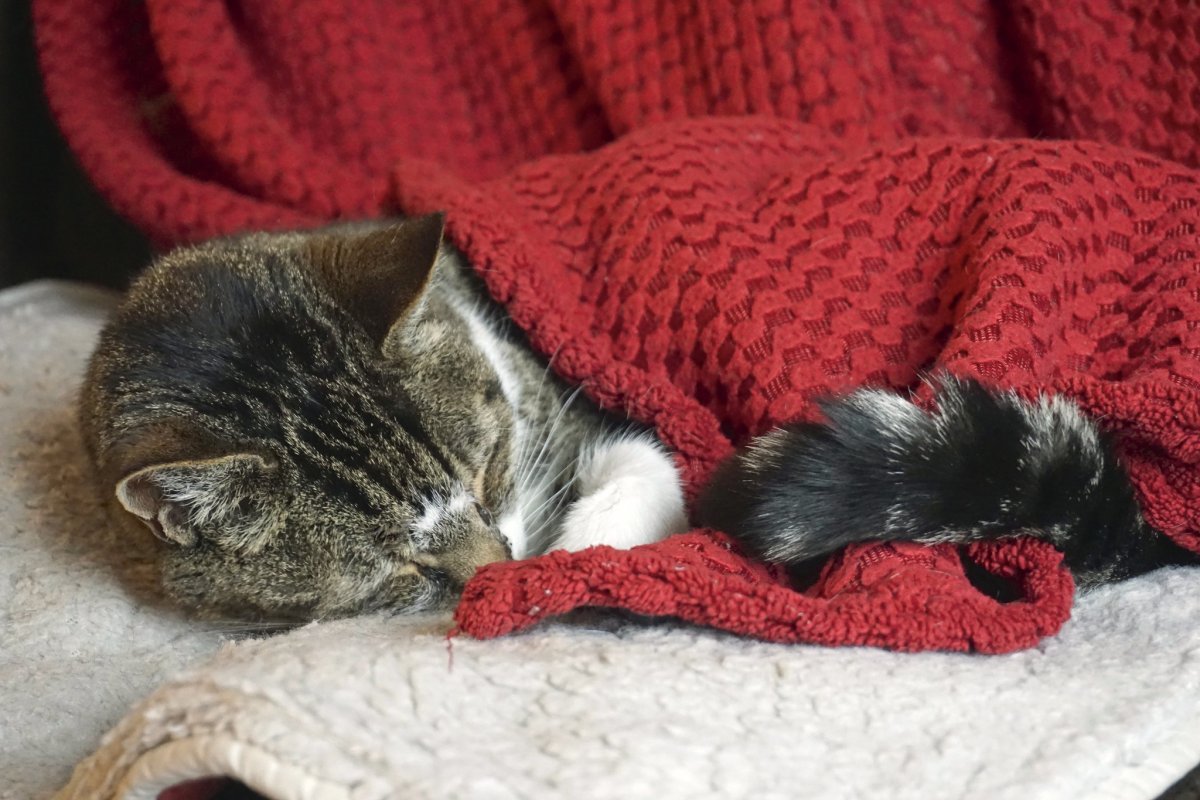 Пак Чимин спит мило