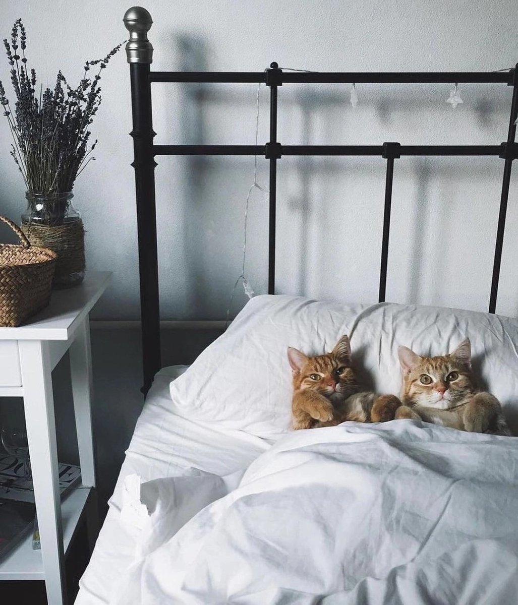 Кровать для кошки