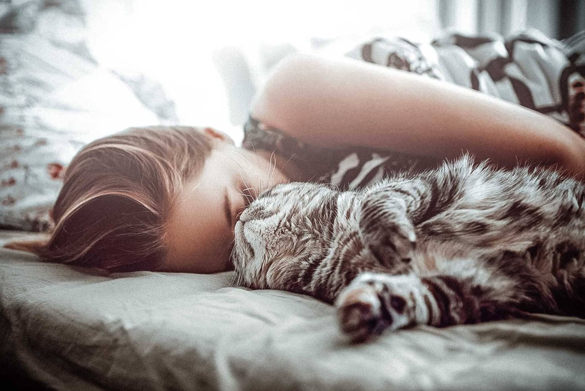 Кошка с хозяйкой