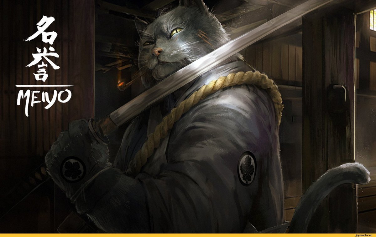 Кошки на крыше