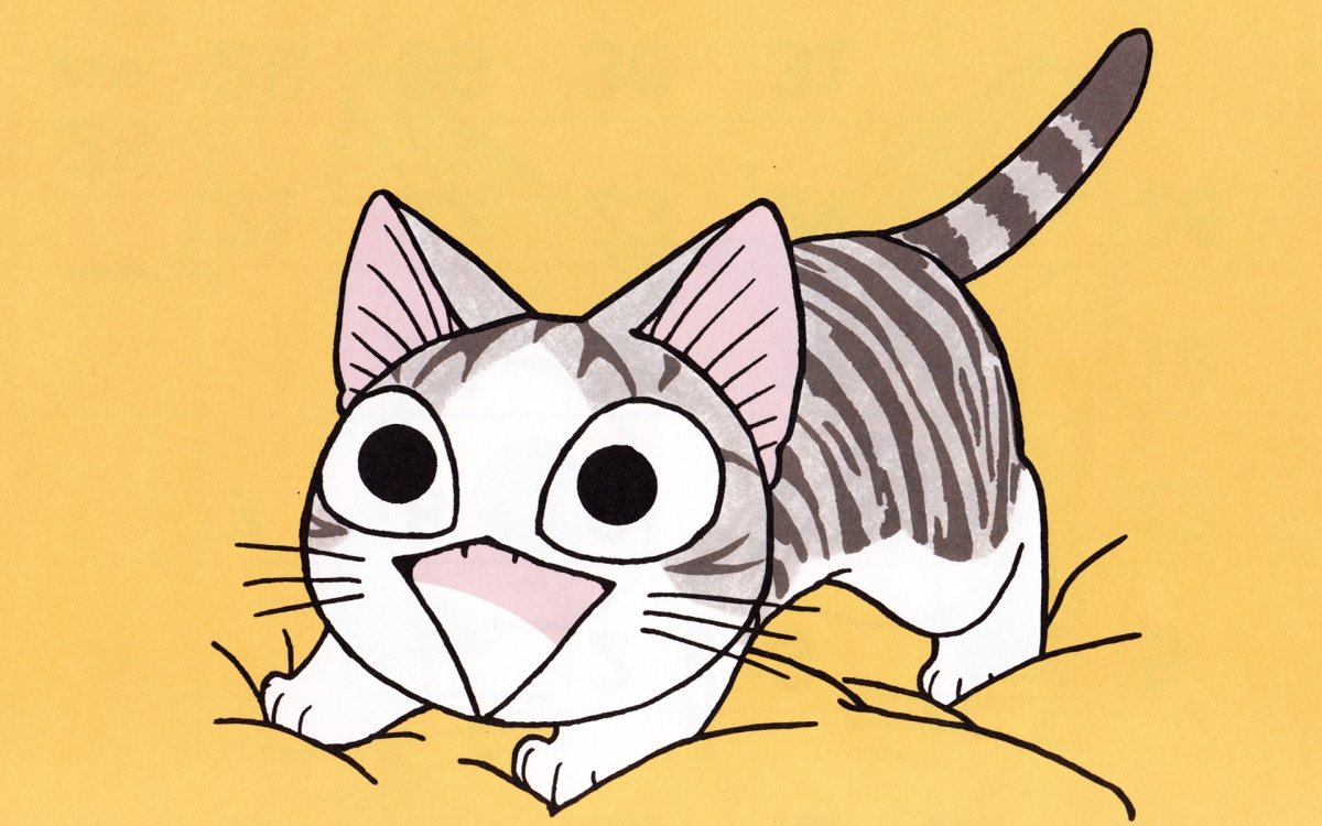 Парные обои с кошками