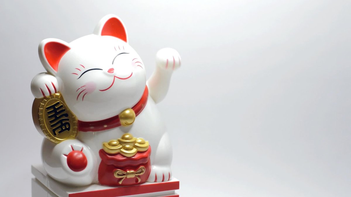 Самураи и ниндзя