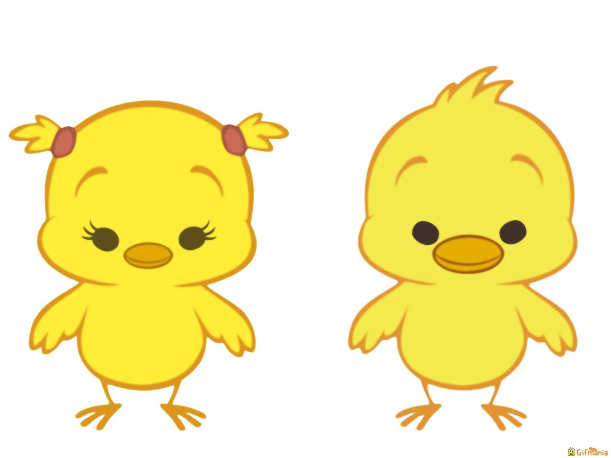 Цыплята мультяшные
