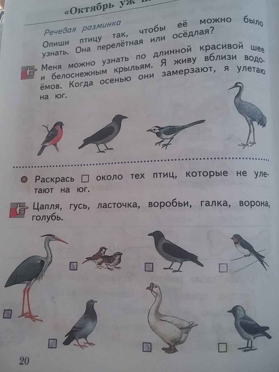 Окружающий мир 1 класс про птиц в тетради