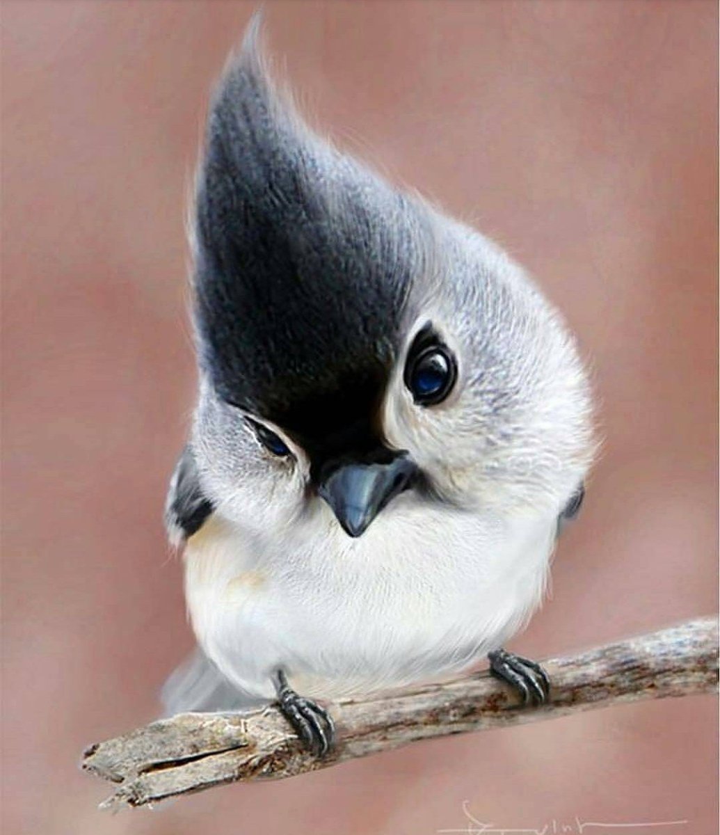 Милые птички