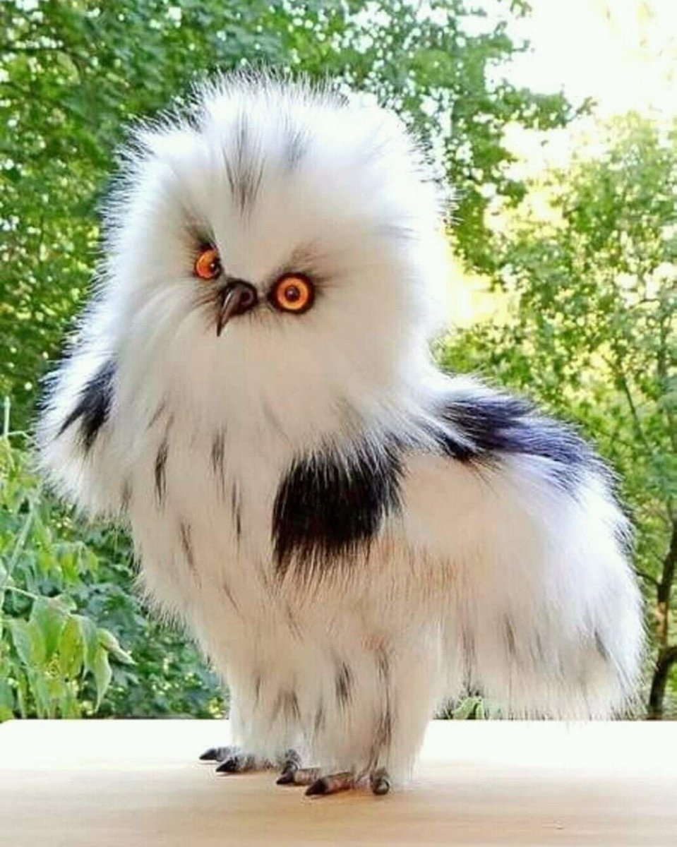 Пушистый зверек