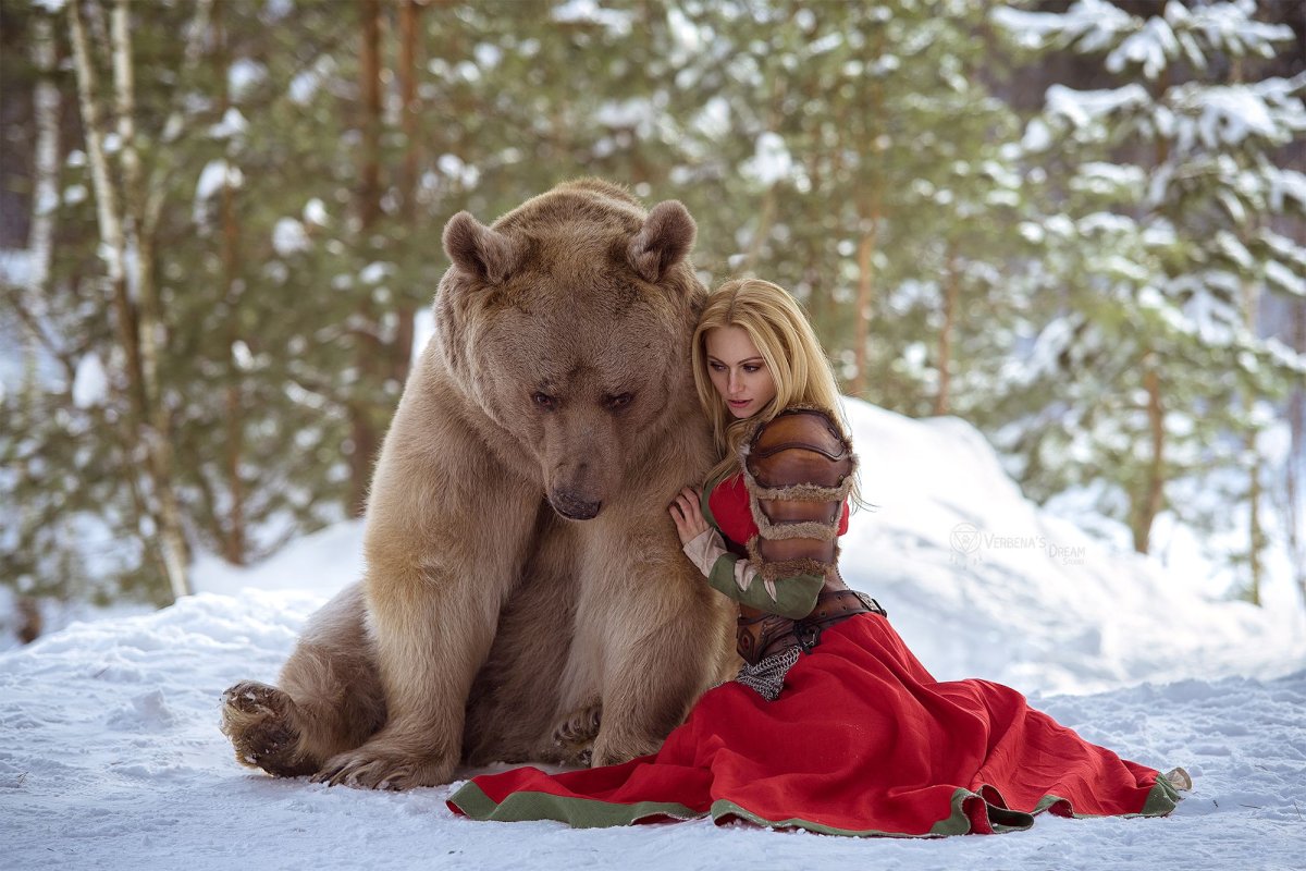 Медведь Степан Шапша