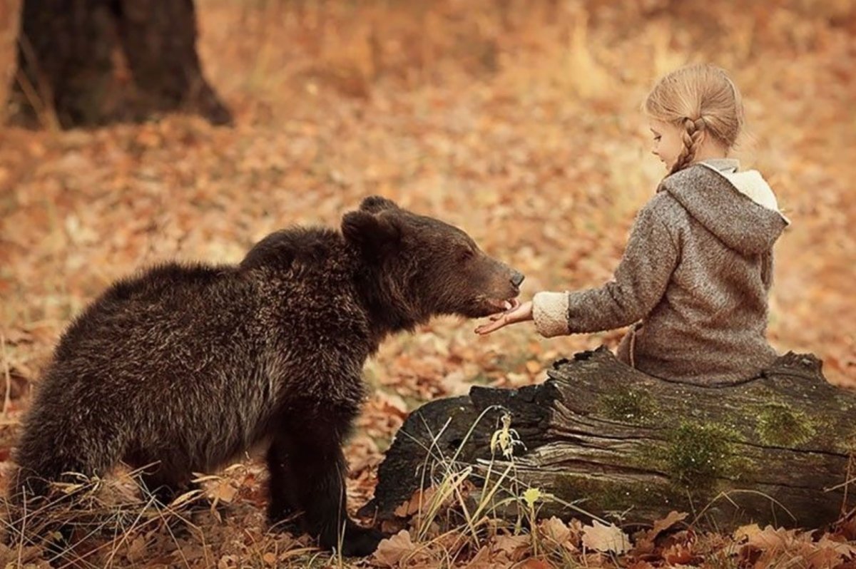 Дети с дикими животными