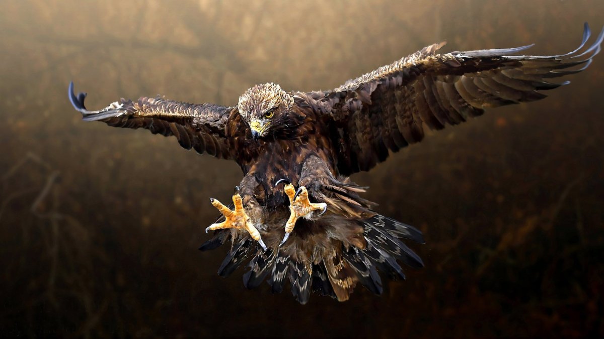 Альпийский вьюрок