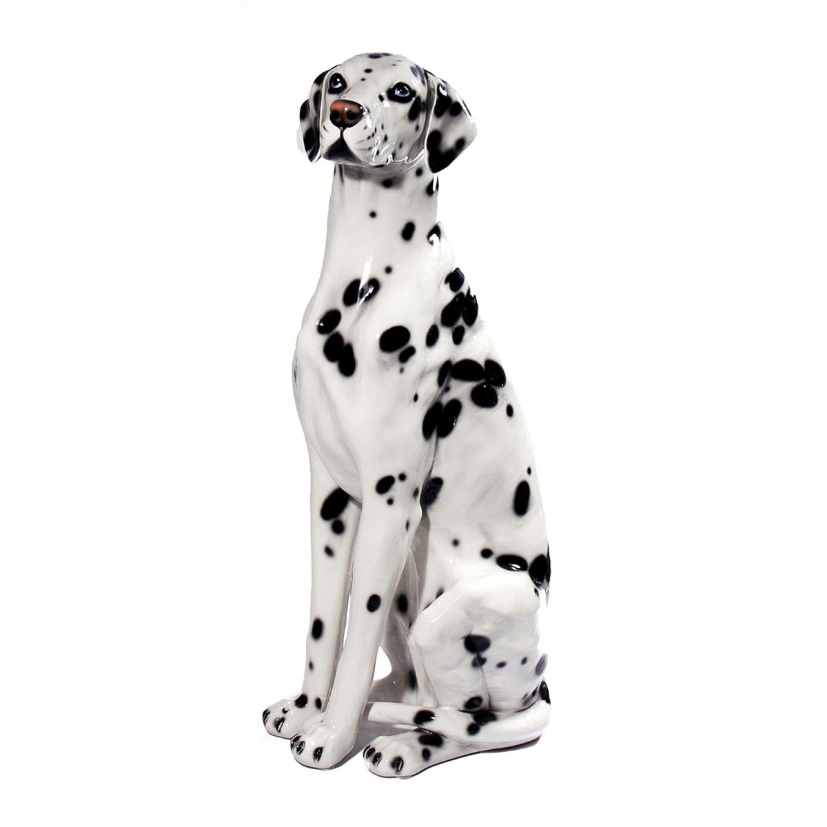 Далматинец анатомия