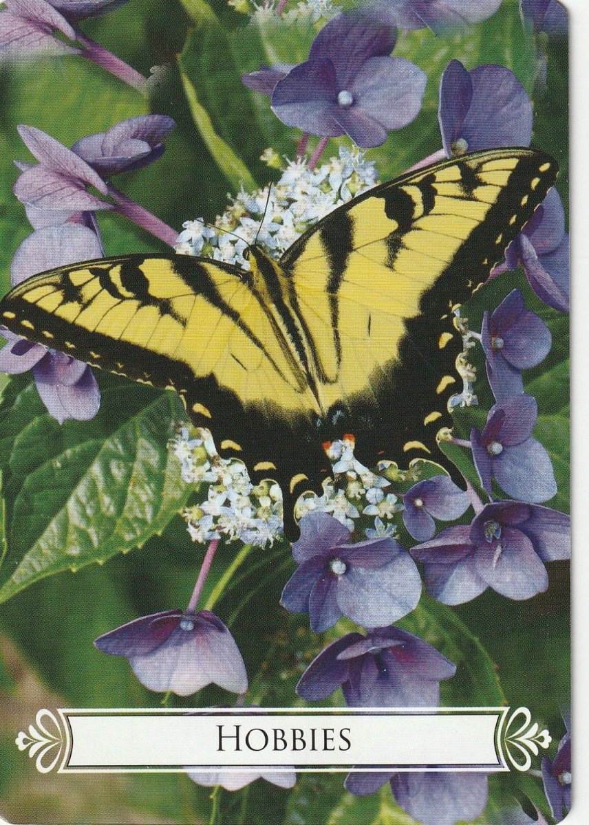 Бабочки в цветах