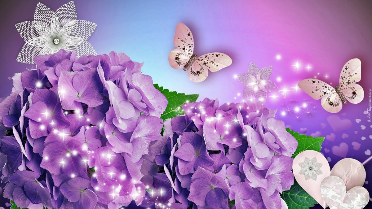 Бабочка на цветке