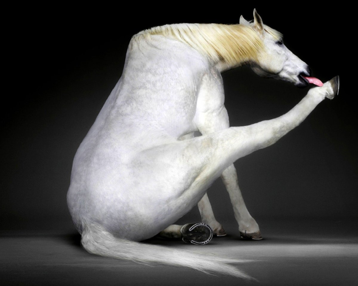 Необычные Единороги