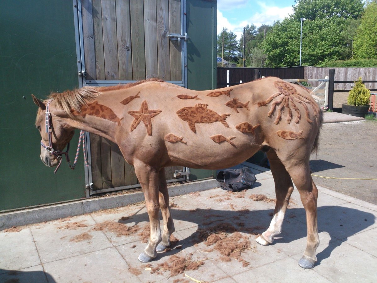 Лошадь с развевающейся гривой