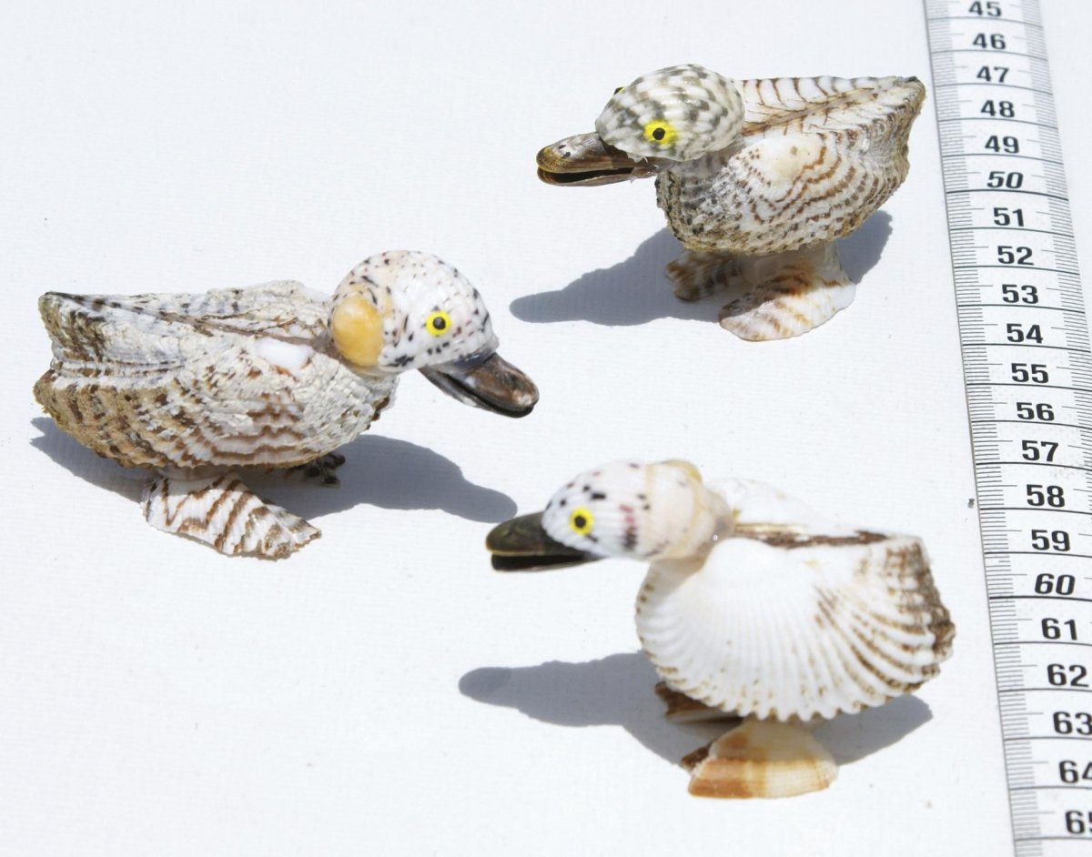 Утята в раковине