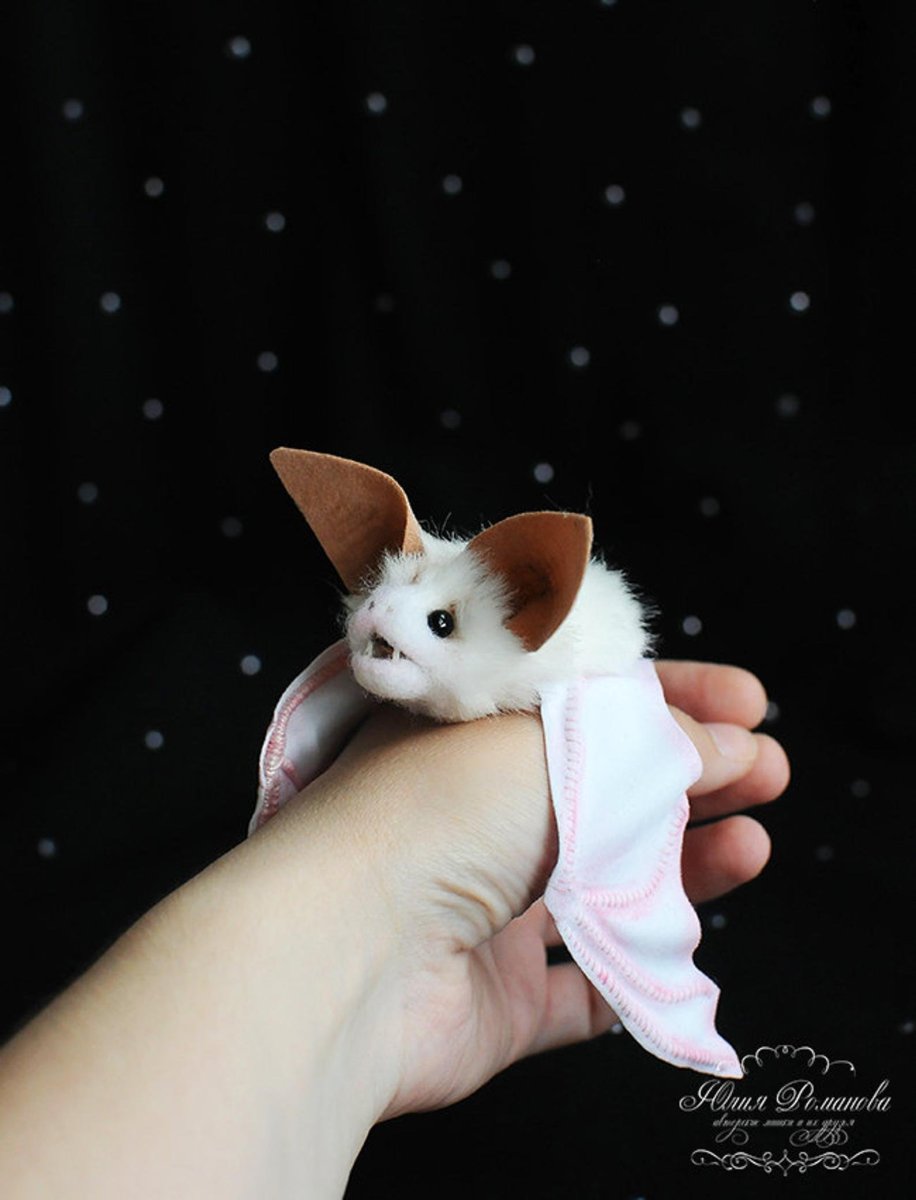 Летучая мышь альбинос