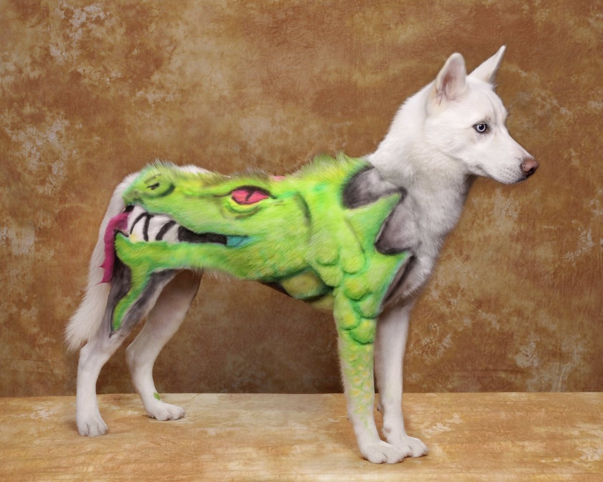 Необычные стрижки собак