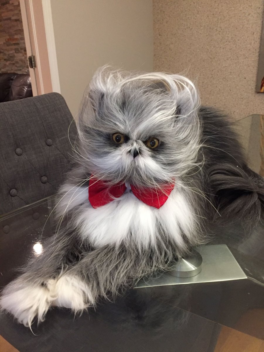 Атчум порода