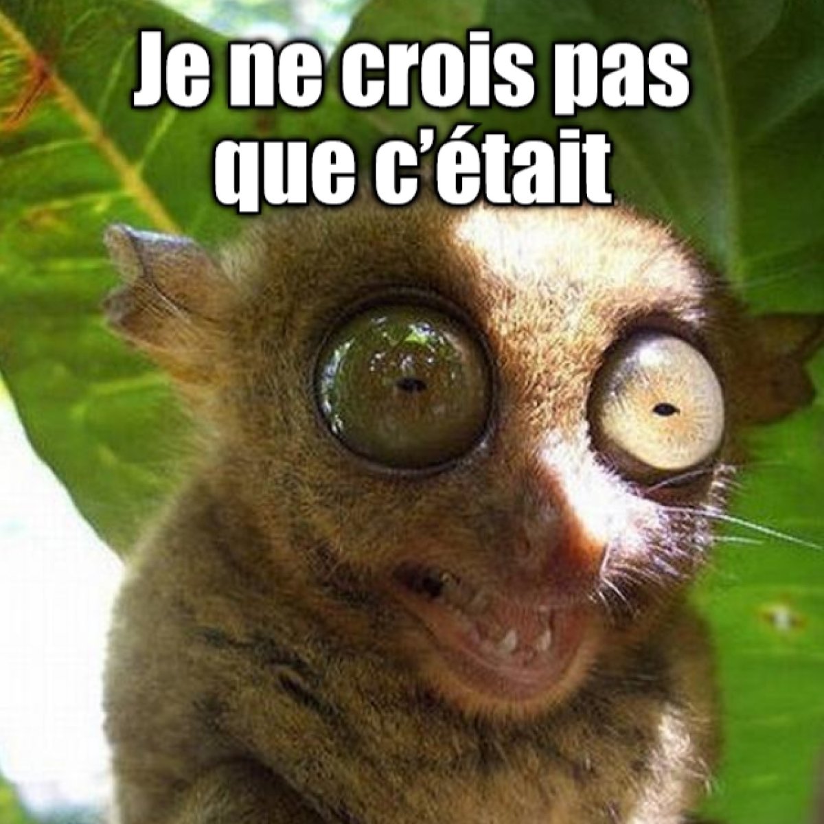 Самые милые игрушки