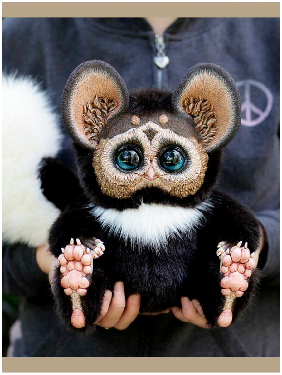 Галаго Сенегальский маленький