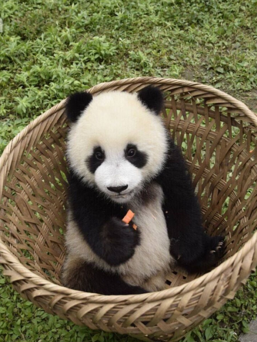 Милые Стикеры для срисовки