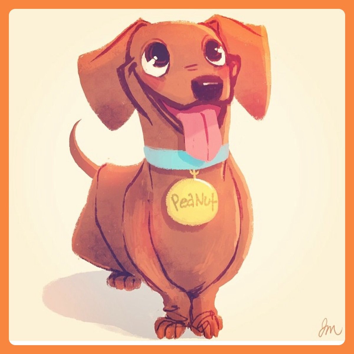 Эстетика щенков