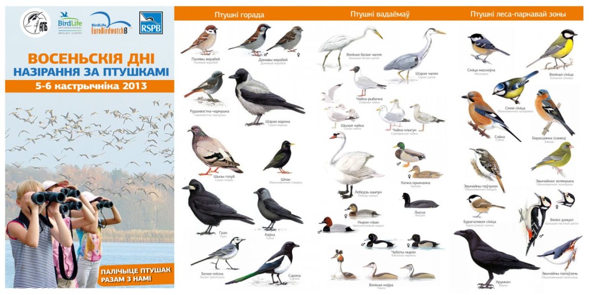 Птицы Подмосковья перелетные и зимующие