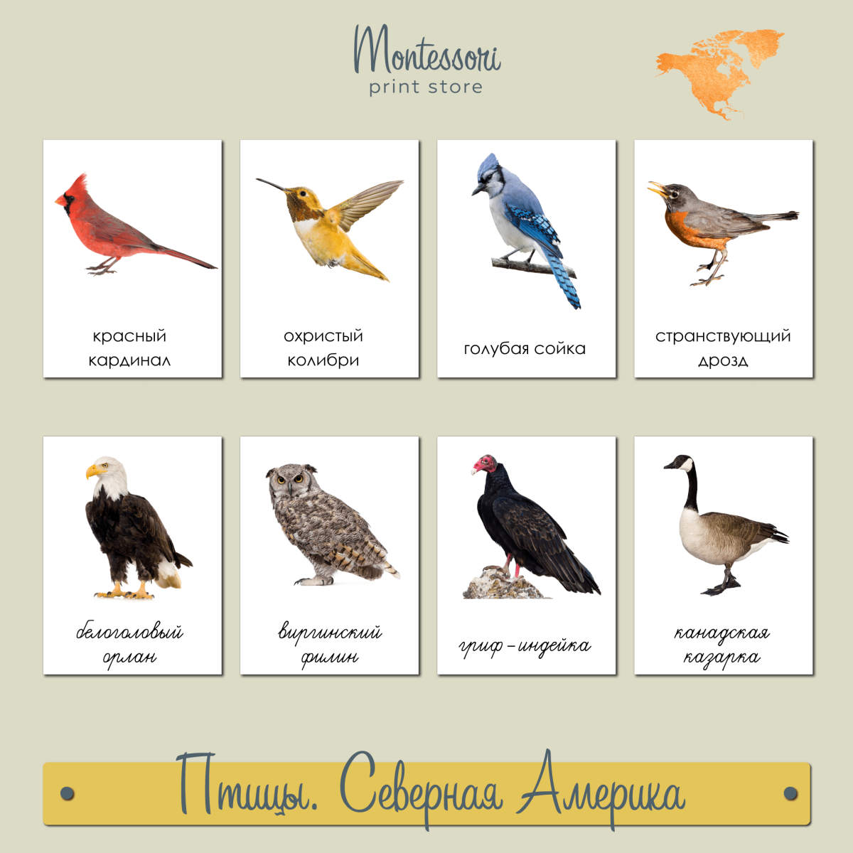 Карточки Монтессори птицы