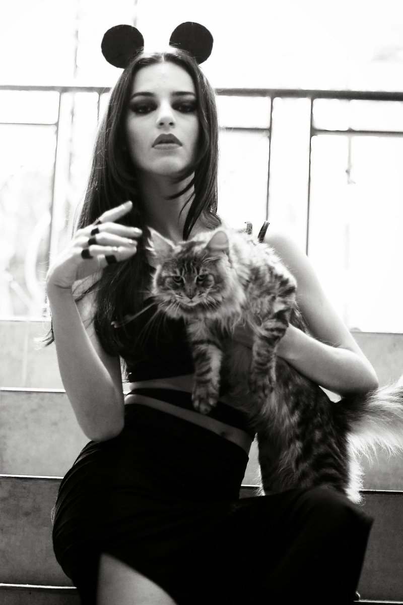 Девушка с кошкой рисунок