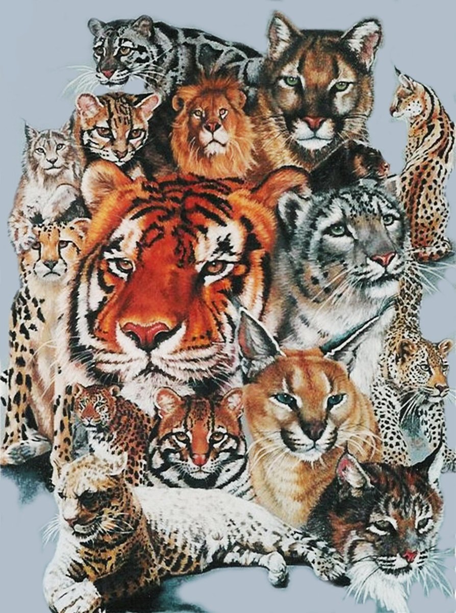 Семейство кошачьих арт