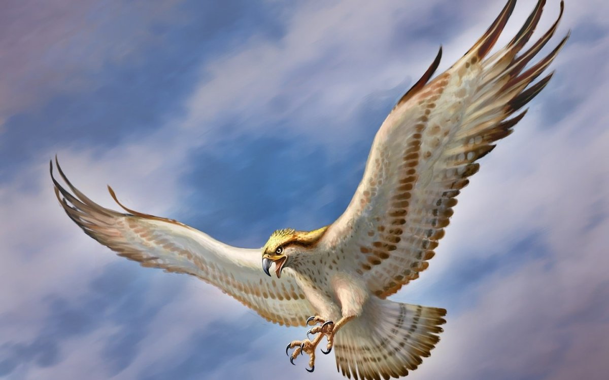 Гренландский Кречет