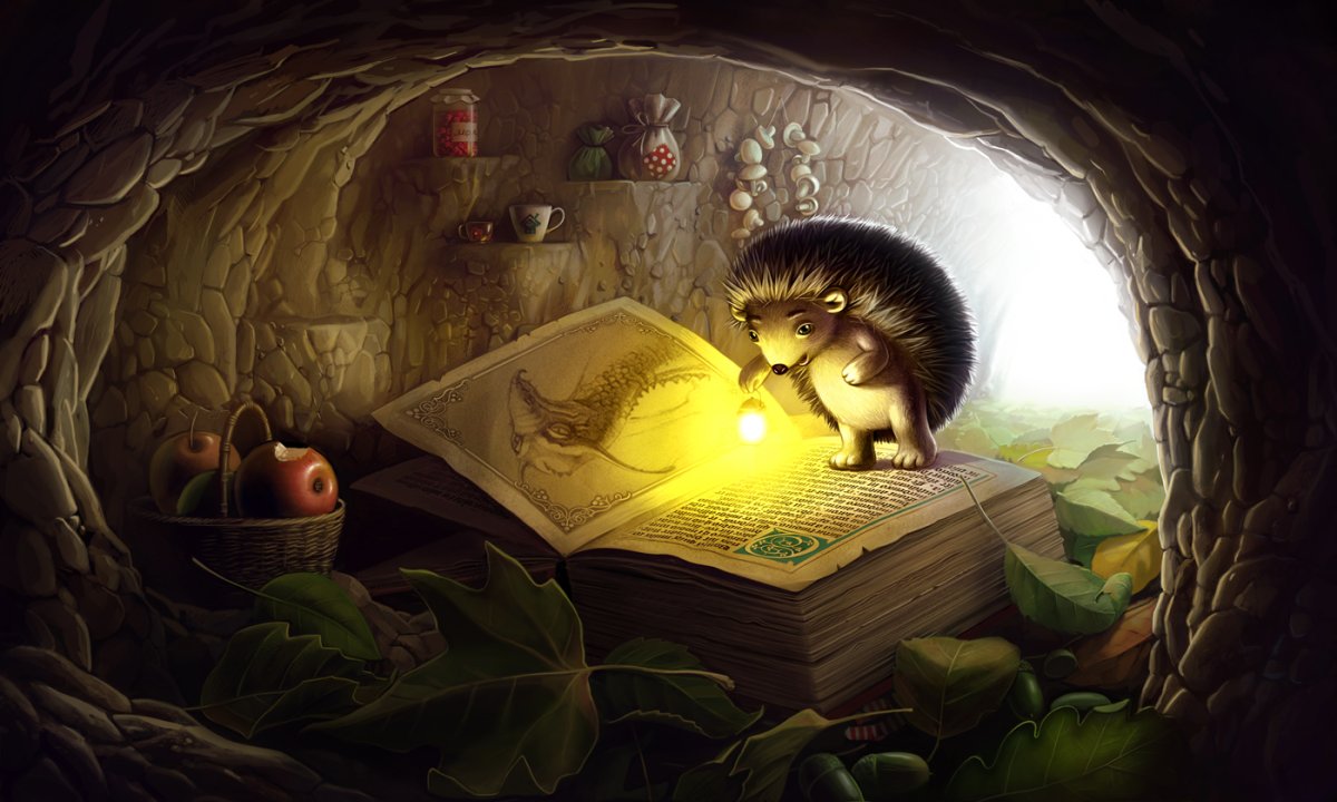 Ежик на дороге