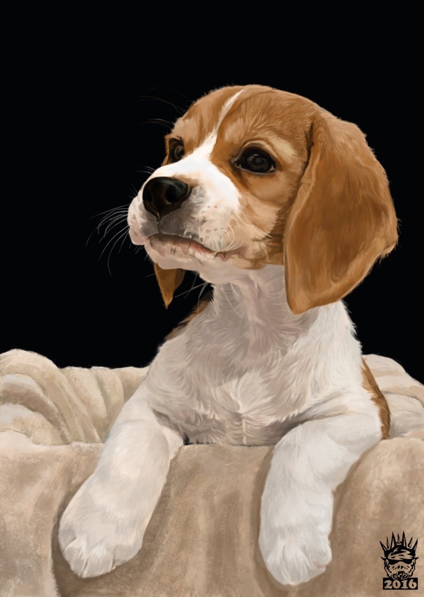 Щенок с грустными глазами