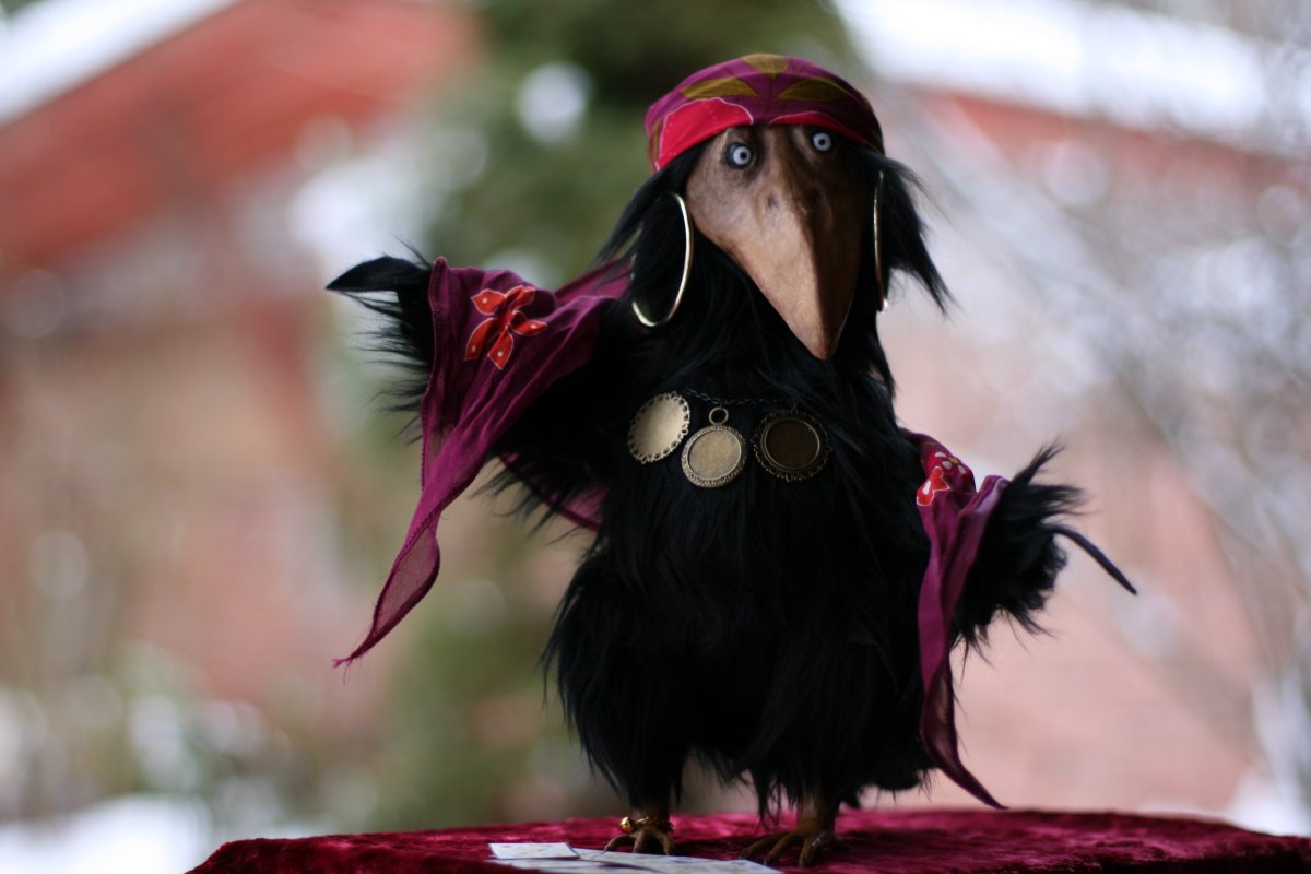 Исполинский серый козодой птица