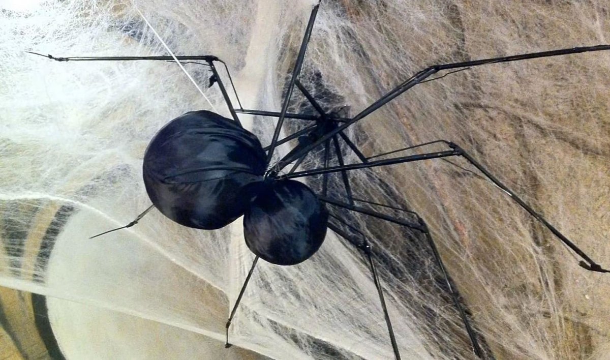 Гигантский кокон