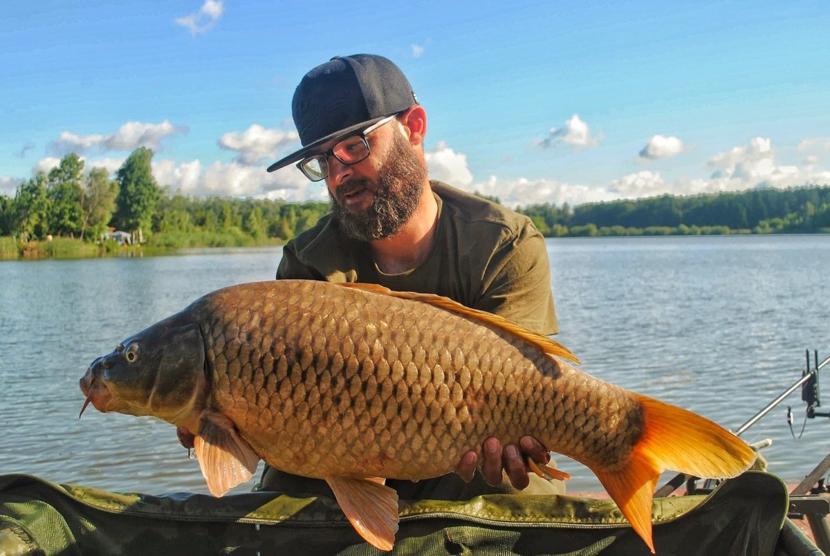 Common Carp